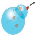 امکان تحقق واکنش های شیمیایی درون قطره های ریز