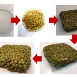 بلوک های زیستی جدید برای کاهش بسته بندی های پلاستیکی در سوپر مارکتها