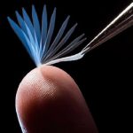 بازگشت پلیمر دارای حافظه به شکل اصلی خود با گرمای بدن