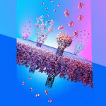 تولید پوست دوم از نانولایه های پلیمری برای محافظت بدن در مقابل عوامل خارجی