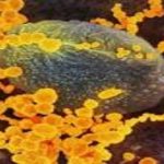 کشف پلیمر های ضد عفونی کننده سطوح در برابر ویروس کرونا